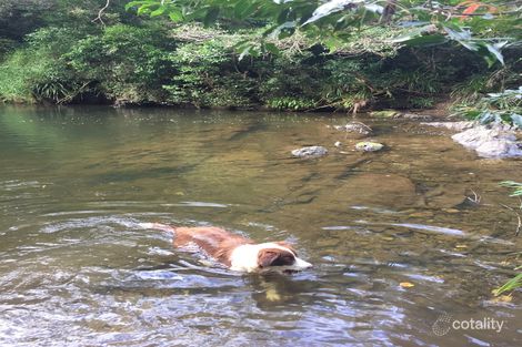 Property photo of 49 Hampton Road Rocksberg QLD 4510