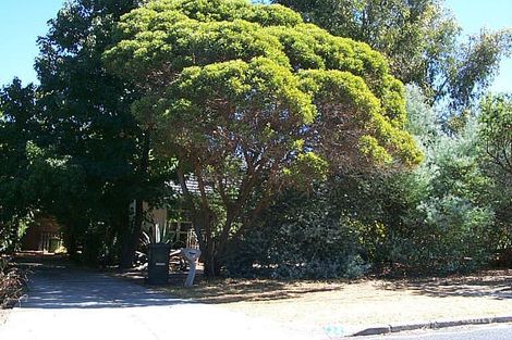 24 Blackman Rd, Mount Pleasant, WA 6153