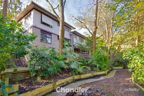 Property photo of 84 Kaola Street Belgrave VIC 3160