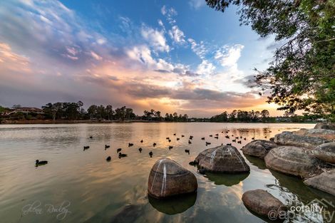 Property photo of 65 Brushwood Circuit Forest Lake QLD 4078