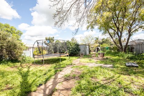 Property photo of 30 Merilba Street Narromine NSW 2821