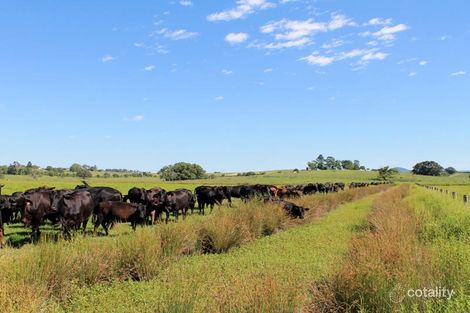 126 Studders Lane, Cedar Point, NSW 2474