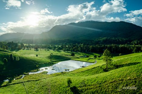 Property photo of 2165 Waterfall Way Thora NSW 2454