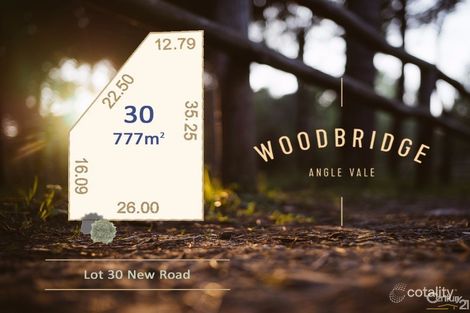 Property photo of 3 Dana Street Angle Vale SA 5117