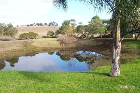 Property photo of 20 Lerra Road Windella NSW 2320