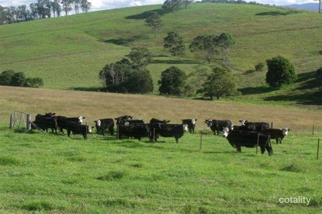 Property photo of 99 Bundook Road Tugrabakh NSW 2422