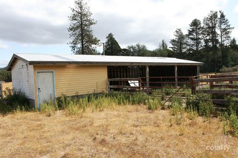 Property photo of 330 Mathinna Plains Road Mathinna TAS 7214