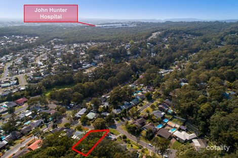 Property photo of 55 Beasley Crescent Rankin Park NSW 2287