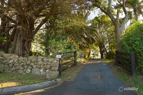 Property photo of 254 Saddleback Mountain Road Jerrara NSW 2533