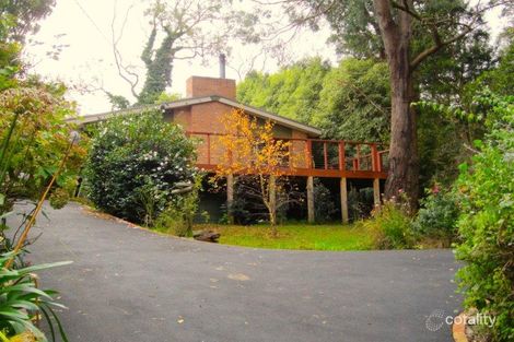 16 Red Hill Rd, Red Hill, VIC 3937