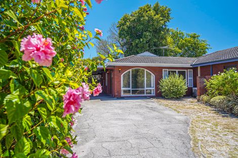 Property photo of 85B Modillion Avenue South Shelley WA 6148