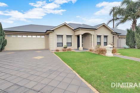 31 Lawrie St, Henley Beach, SA 5022