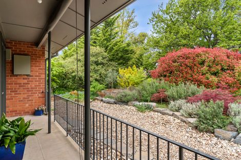 Property photo of 113 Majura Avenue Dickson ACT 2602