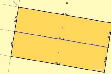 Property photo of 43 Eversley Terrace Yeronga QLD 4104