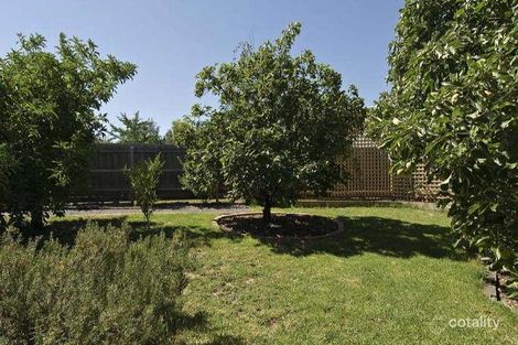 Property photo of 20 Celeste Court Chirnside Park VIC 3116