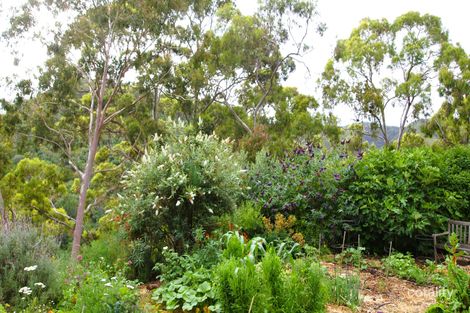 Property photo of 11 Haven Road Skye SA 5072