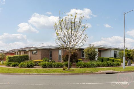 Property photo of 39 Charles Perkins Circuit Bonner ACT 2914