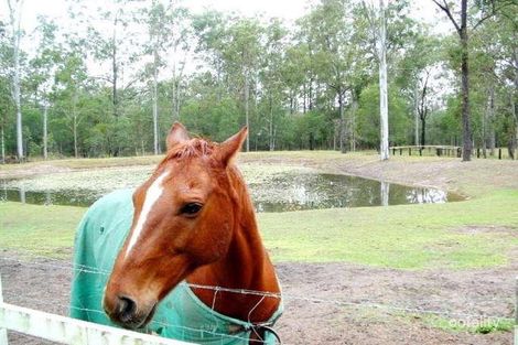 Property photo of 817-825 Teviot Road North Maclean QLD 4280