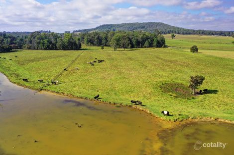 187 Dargavilles Rd, Nabiac, NSW 2312