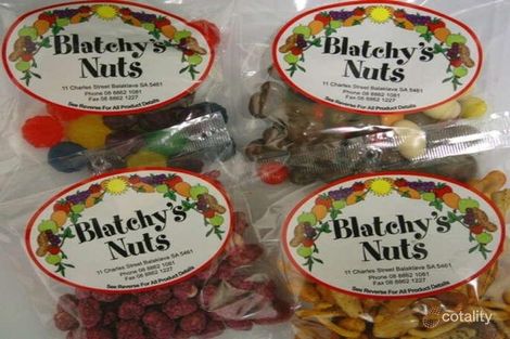 11 Charles St, Balaklava, SA 5461