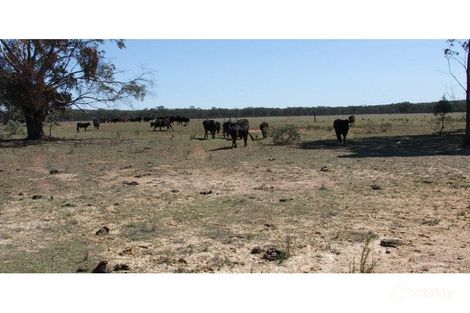 14587 Oxley Hwy, Rocky Glen, NSW 2357