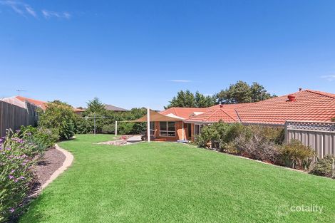 Property photo of 7 Acraman Place Amaroo ACT 2914