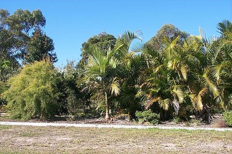 Property photo of 13-15 Boxgum Court Ningi QLD 4511
