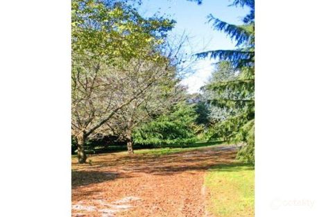 Property photo of 87-93 Mackeys Lane Robertson NSW 2577