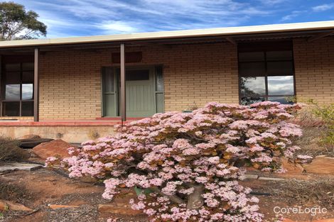 Property photo of 8 Cowell Road Cleve SA 5640
