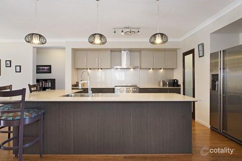 Property photo of 3 Shrike Court Narangba QLD 4504
