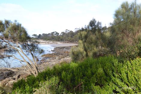 Property photo of 9 Barnett Crescent Bridport TAS 7262