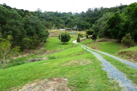 Property photo of 189 Candy Creek Road Guanaba QLD 4210