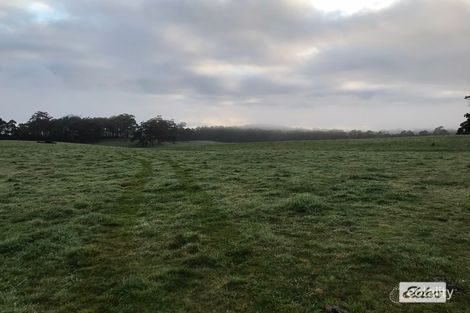 183 Loosemores Rd, Hellyer, TAS 7321