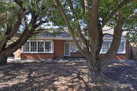 Property photo of 10 Convair Street Netley SA 5037