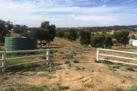 Property photo of 43 Cockatoo Road Boston SA 5607