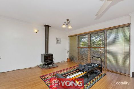 Property photo of 5 Bluegum Street Macgregor QLD 4109