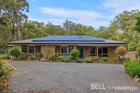Property photo of 23 Williamson Road Gembrook VIC 3783