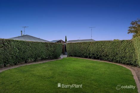 Property photo of 7 Tetila Avenue Grovedale VIC 3216