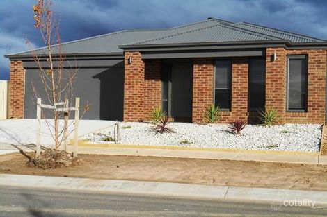 Property photo of 39 Sadlier Street Wodonga VIC 3690