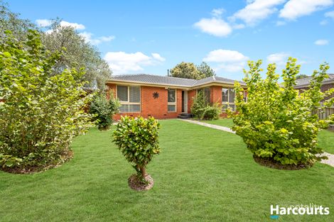 Property photo of 91 Raheen Avenue Wantirna VIC 3152