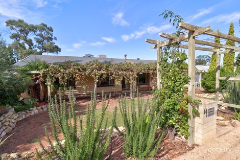 Property photo of 14 Aitken Street Berri SA 5343