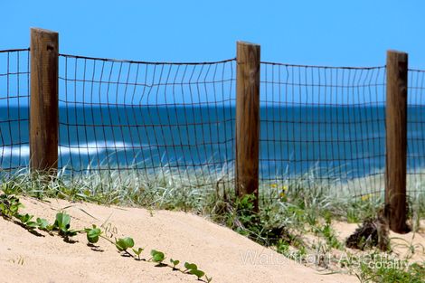 Property photo of 47 Iluka Avenue Buddina QLD 4575