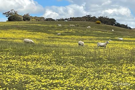 453 Bartram Rd, Jelcobine, WA 6306