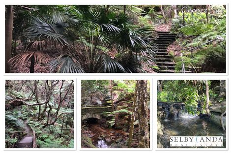 Property photo of 8/121 Old South Head Road Bondi Junction NSW 2022