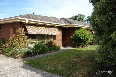 6/29-33 Elmhurst Rd, Bayswater North, VIC 3153