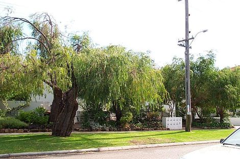 Property photo of 4/5 Clark Street Crawley WA 6009