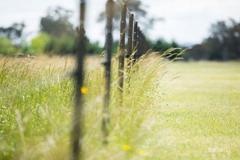 Property photo of 310 Pinegrove Road Saumarez Ponds NSW 2350