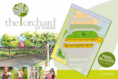 Property photo of 99 Cherry Avenue Direk SA 5110