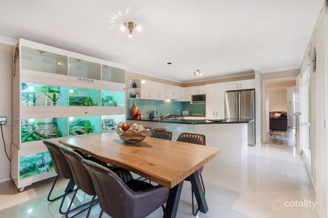 Property photo of 146 Australis Avenue Wattle Grove NSW 2173
