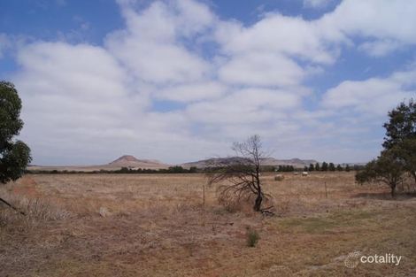 Property photo of 13 Hill River Way Moonyoonooka WA 6532